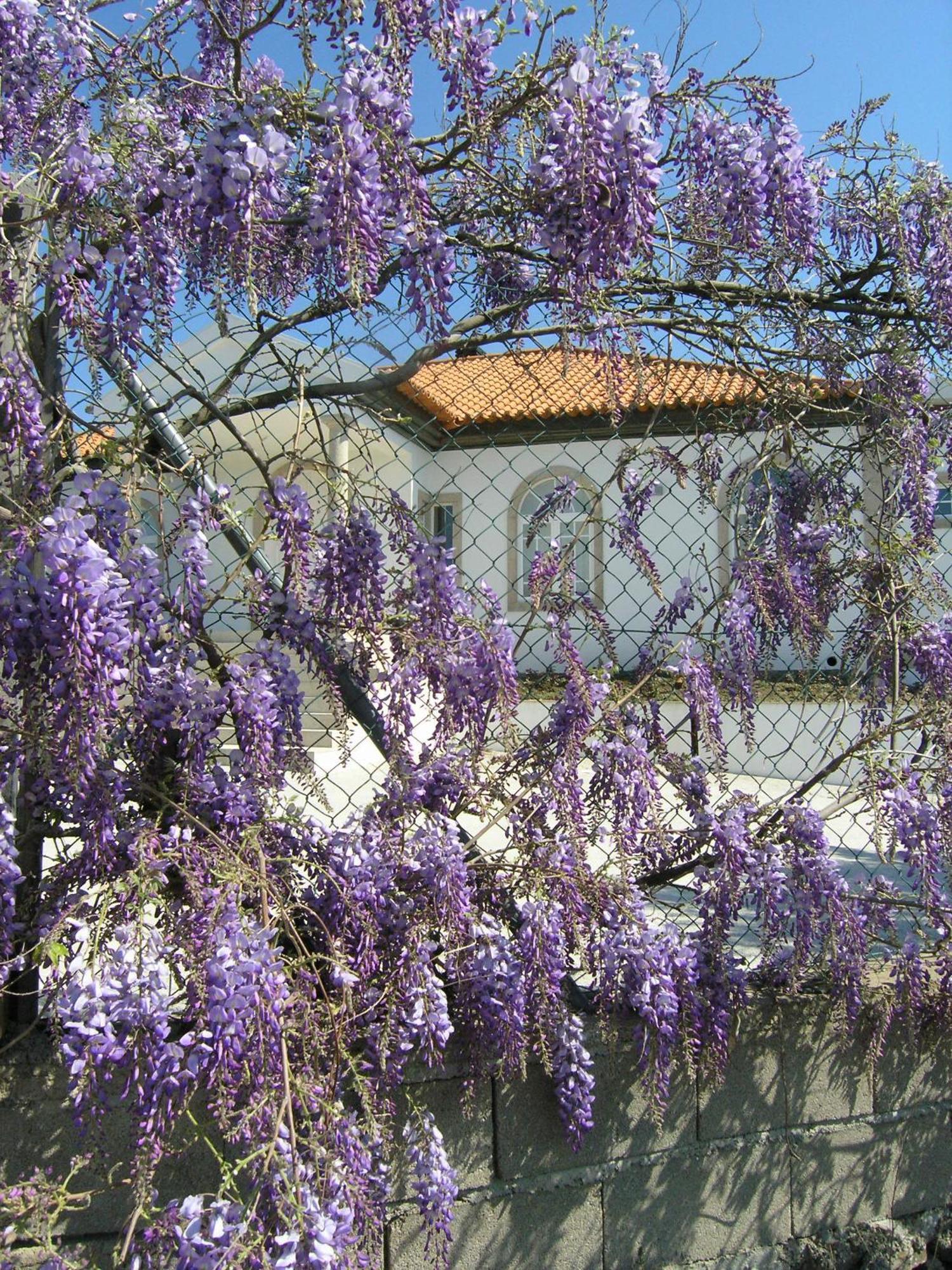 Casa De Alpajares - Guest House & Spa Freixo de Espada à Cinta Zewnętrze zdjęcie